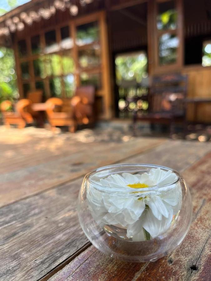 Mộc An Nhiên Farmstay Pleiku Extérieur photo